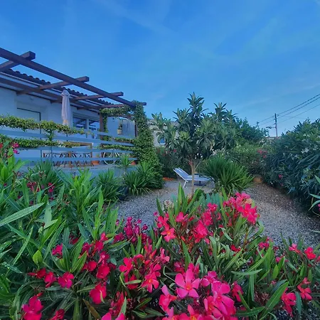 Eucalyptus 2 Casa Indipendente 아파트 산레모